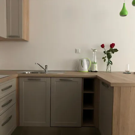 Studio Apartment In Center Of Zagreb 
