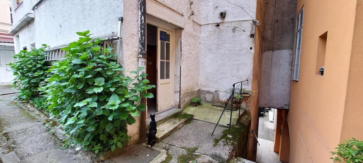 Apartment In Center Of 
